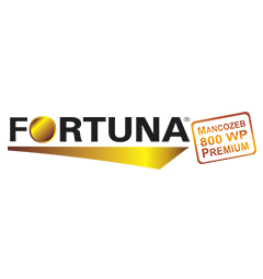 Fortuna 800 WP  - 0